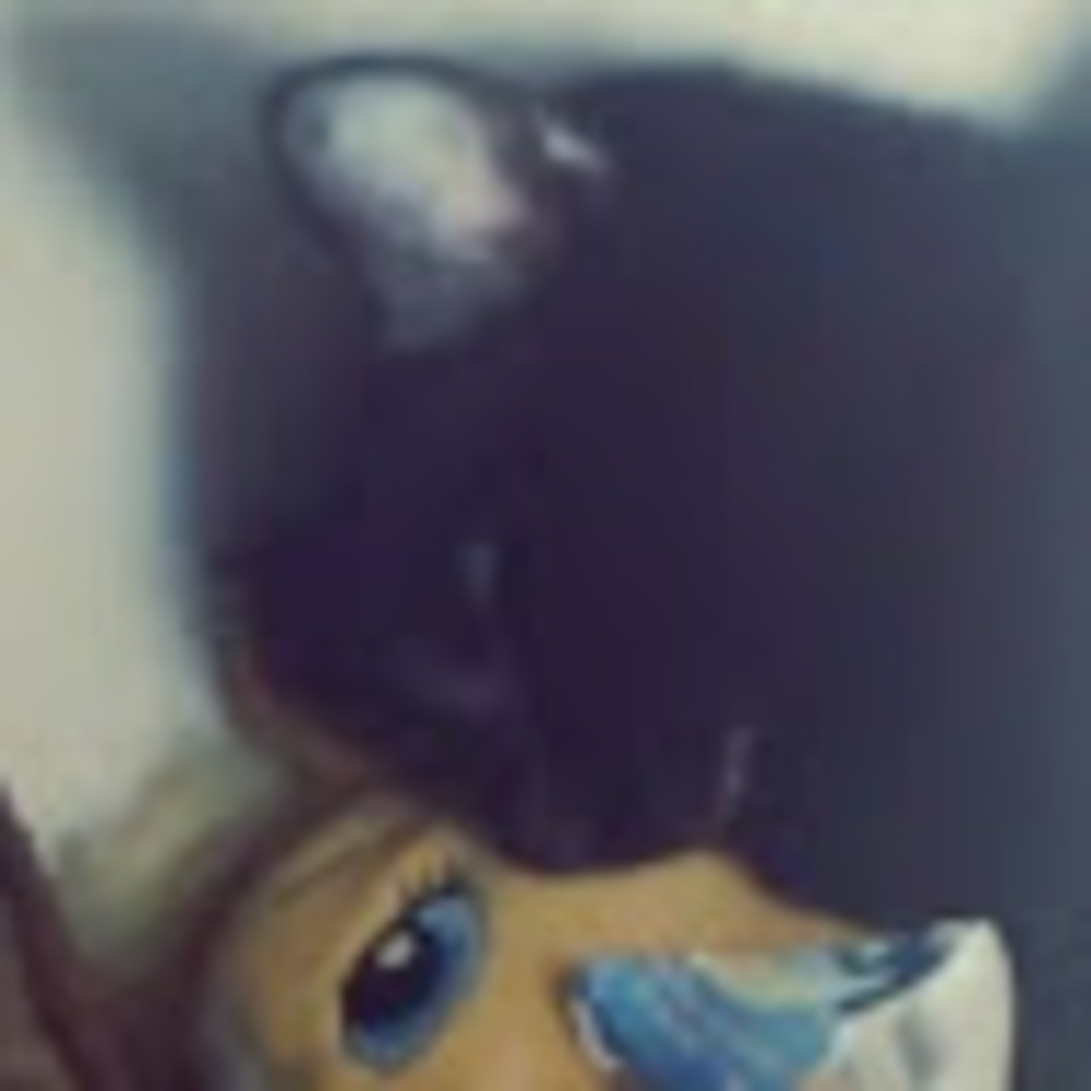 Meet your Posher, Steven